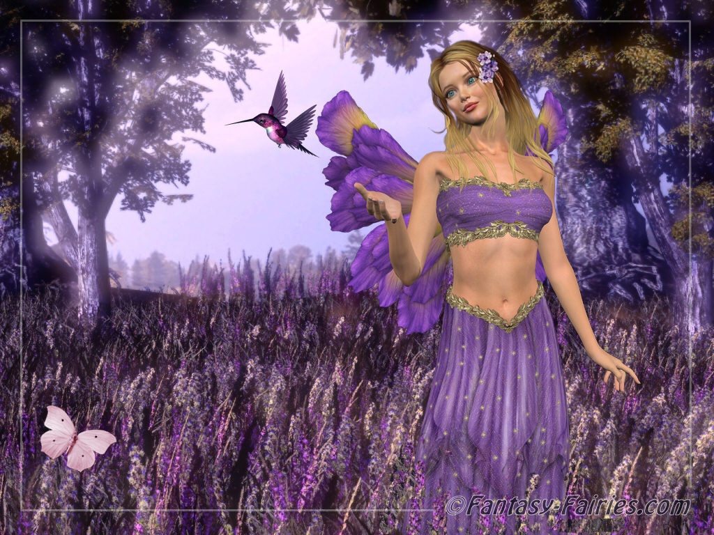 http://2.bp.blogspot.com/-1zxLlAxrkDo/Tdlfc6IzMrI/AAAAAAAAAlk/LhrlM3X8zkk/s1600/Lavendar-Fairy-Wallpaper-fairies-6350130-1024-768.jpg