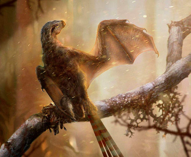 Another Bat-Winged Dinosaur Has Been Found