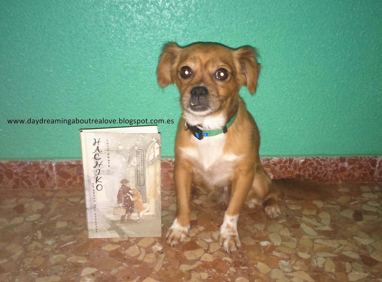 Daydreaming about real love Hachiko. El perro que esperaba Luis Prats