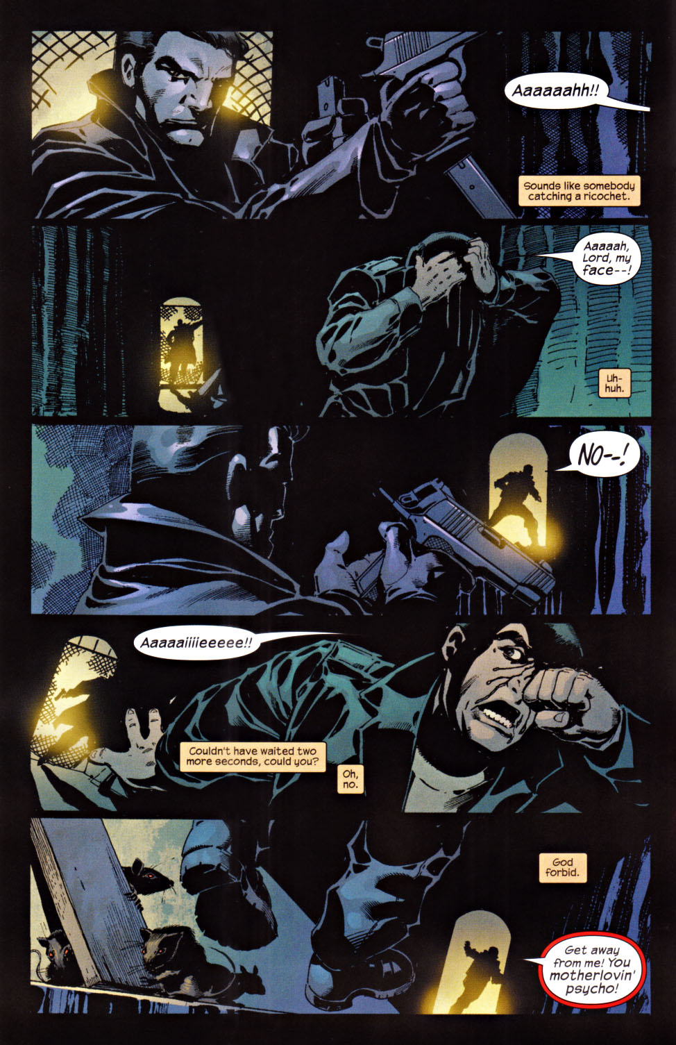 Read online The Punisher (2001) comic -  Issue #24 - Hidden - 11