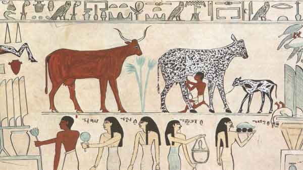 Grade 5 Ancient Egypt Worksheet