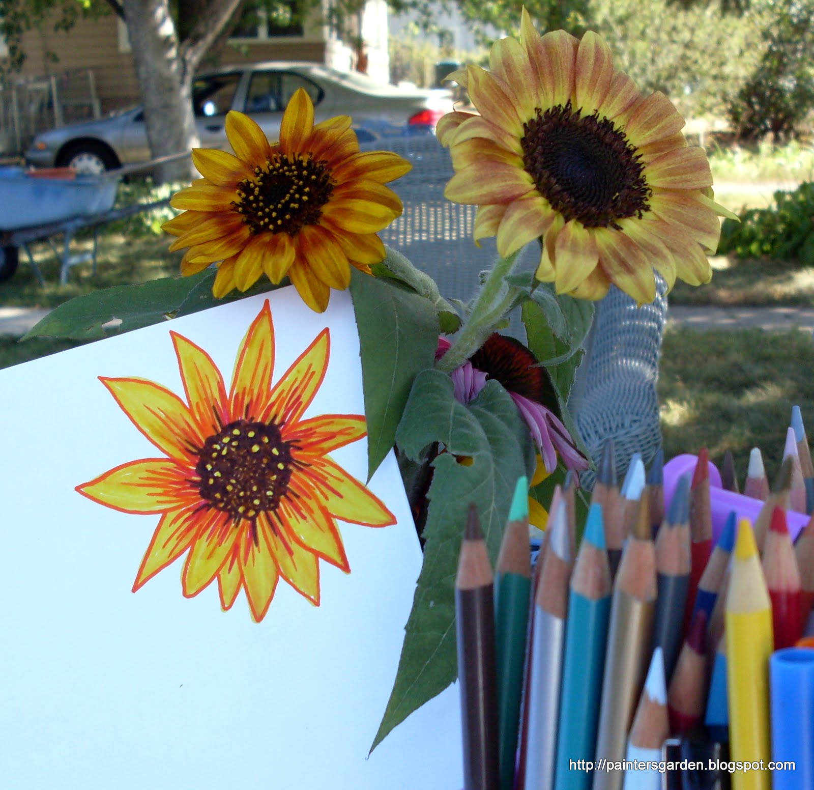 Paintersgarden Drawing sunflowers in marker