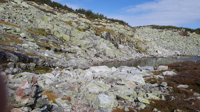 Sentier en direction du mont Jacques-Cartier