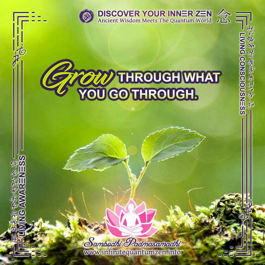 Grow through what you go through - Infinite Quantum Zen, Success Life Quotes