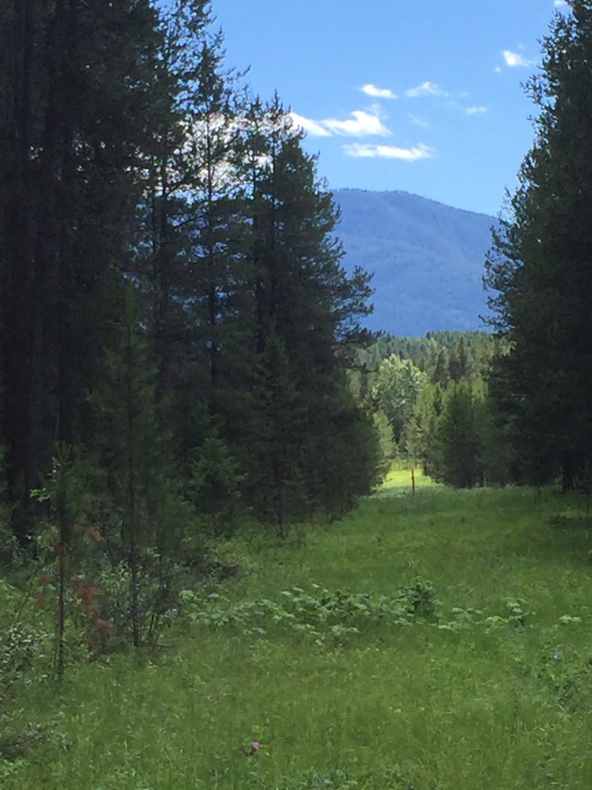 BLUE SKY AHEAD North American RV Park, Coram, Montana