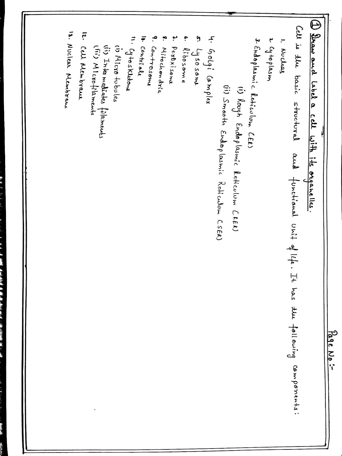 Anatomy Diagram Book