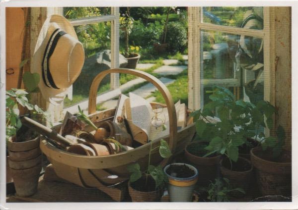 open window with plants in pots and gardening tools