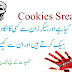 Cookies Stealing Kya Hai Iss Se Hackers Account Kese Hack Karte Hein