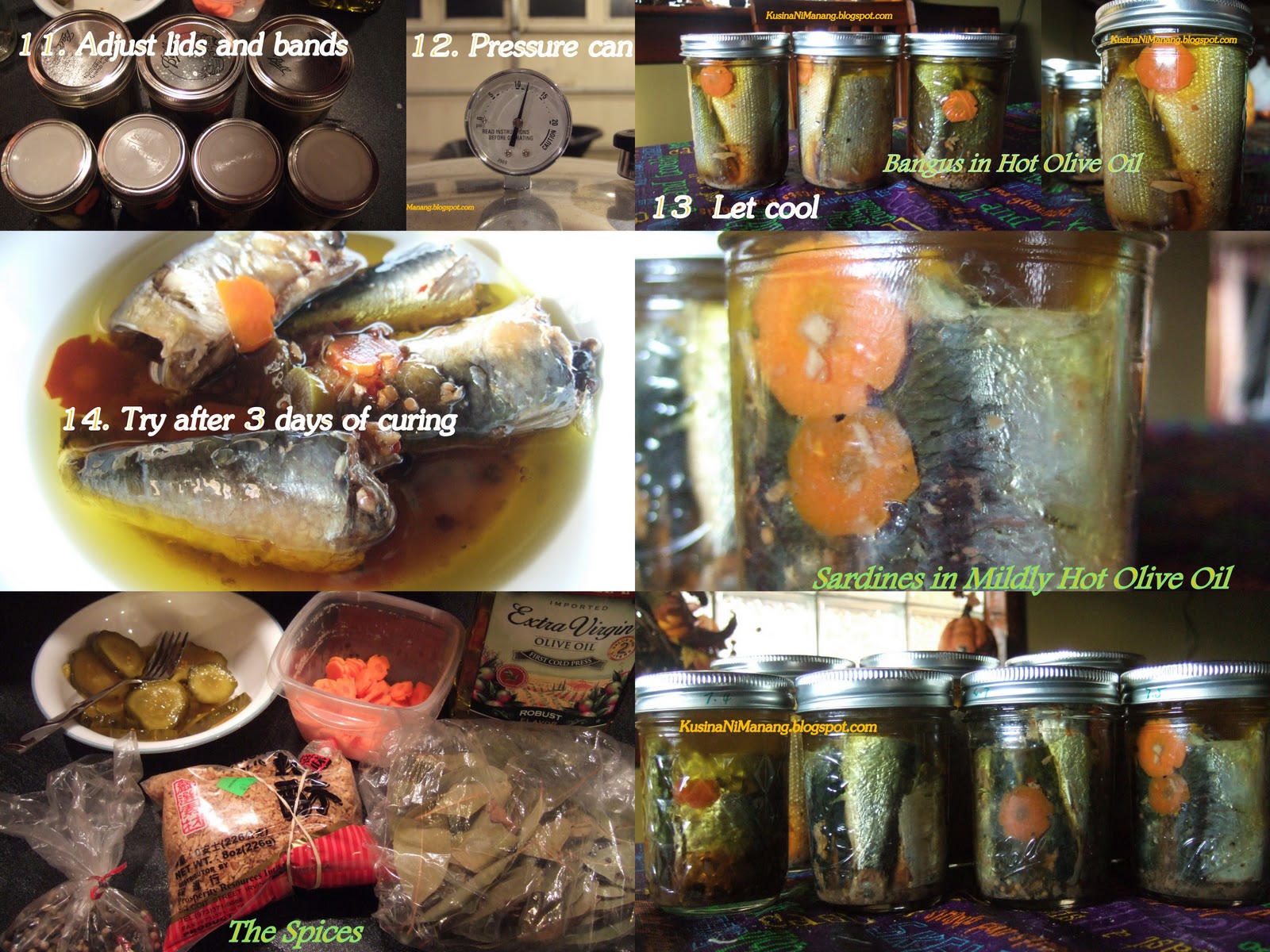 Canning Sardinas/Bangus (Sardines/Milkfish) in Olive Oil