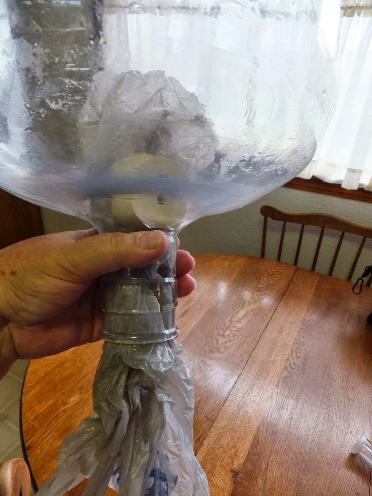 Kott in the Garden HELP! The Cork's Stuck INSIDE The Bottle!!!!