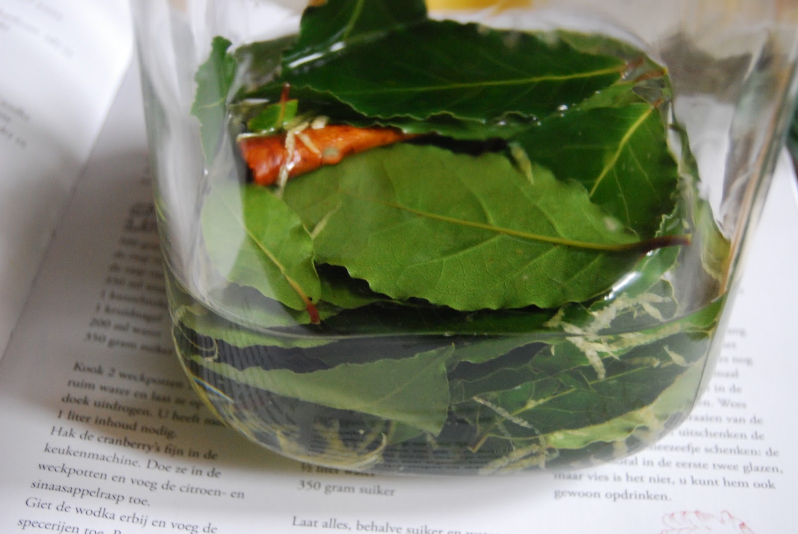 boeddhamum glutenfree Liquoro di alloro Laurierlikeur Bay leaf