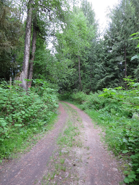 Crawford Bay Trail