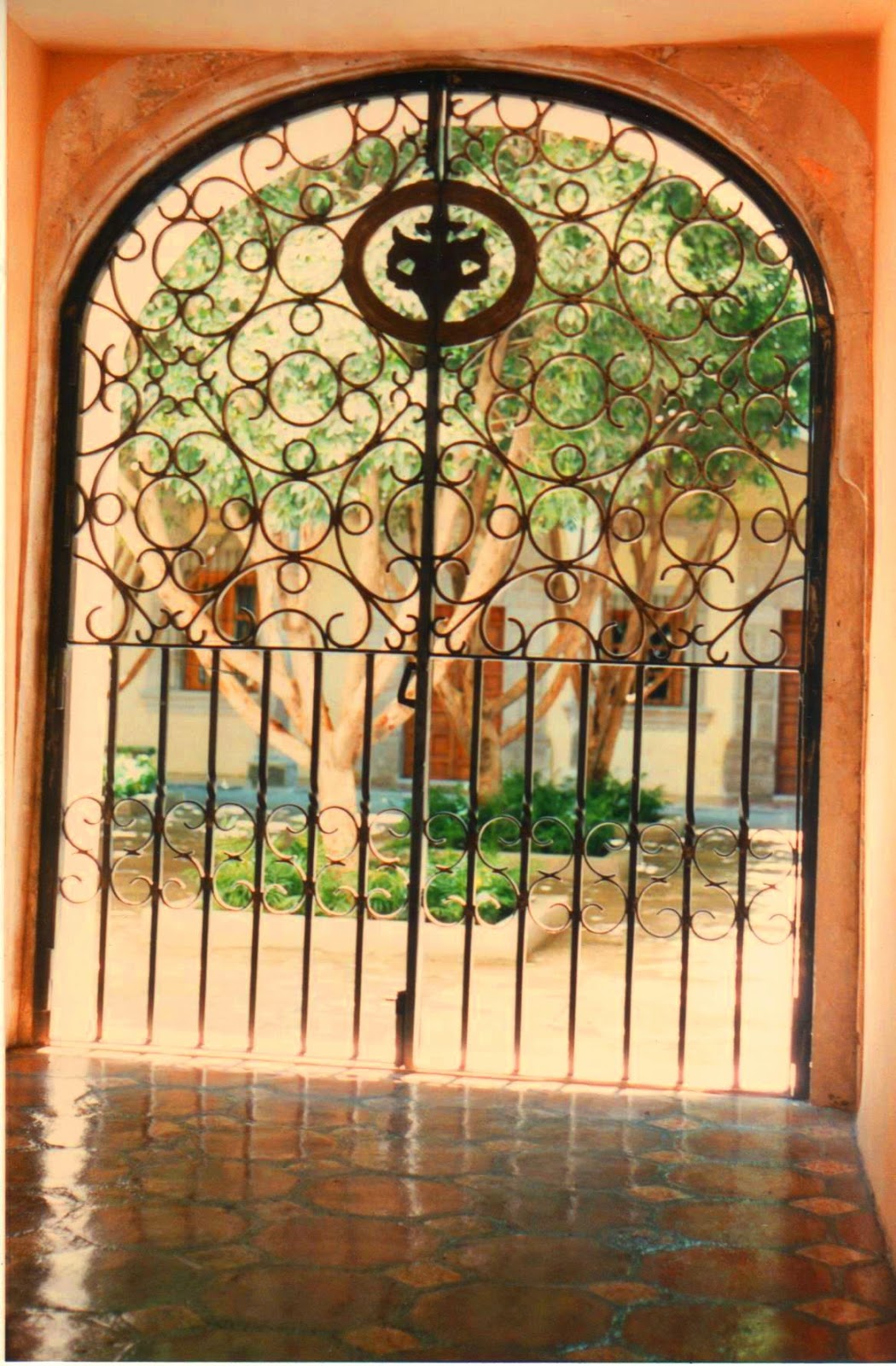 Terranova (Revista de Cultura, Crítica y Curiosidades) : La Casa del