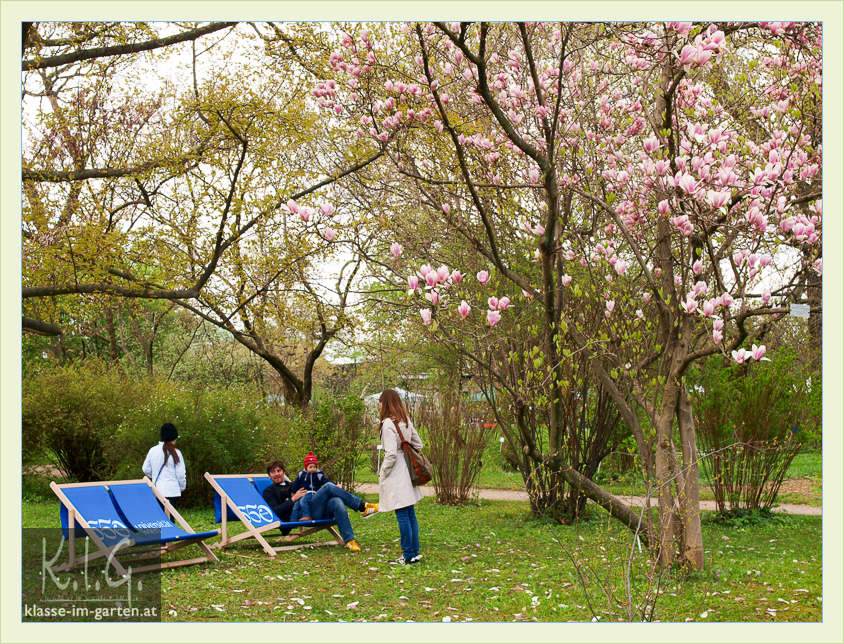 Klasse Im Garten Page 6 Chan 9849358 Rssing Com