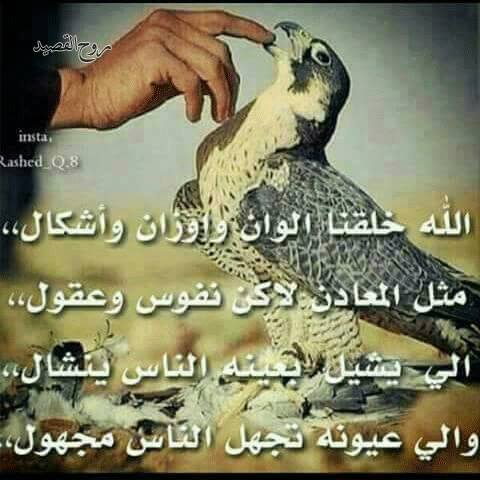 شعر وصور معبره 10