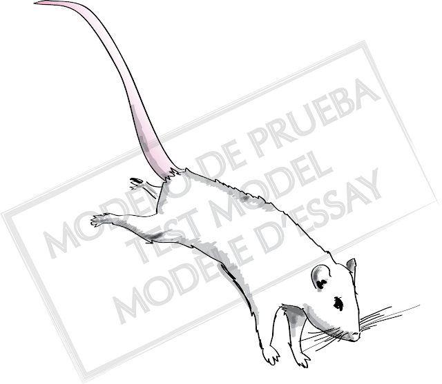 Graphique Science (Chile) November 2012