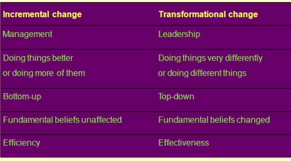 Strategic Management Global Strategic Analysis Innovation and Change