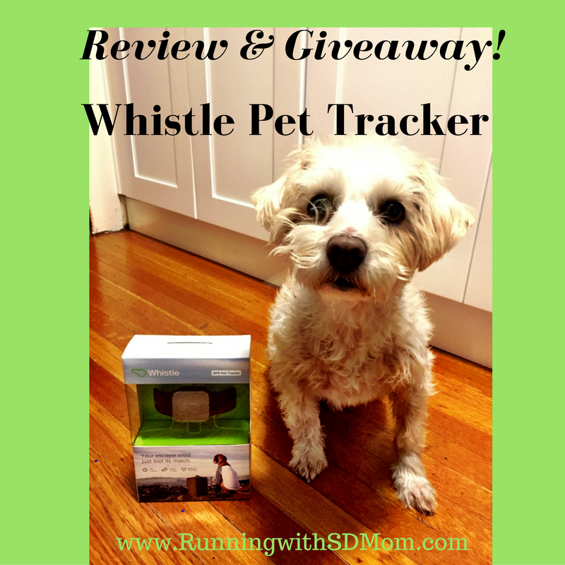 whistle tracker review running with sd whistlefit meet sddogmurray whistle pet tracker review whistle tracker review running with sd whistlefit meet sddogmurray whistle pet tracker review