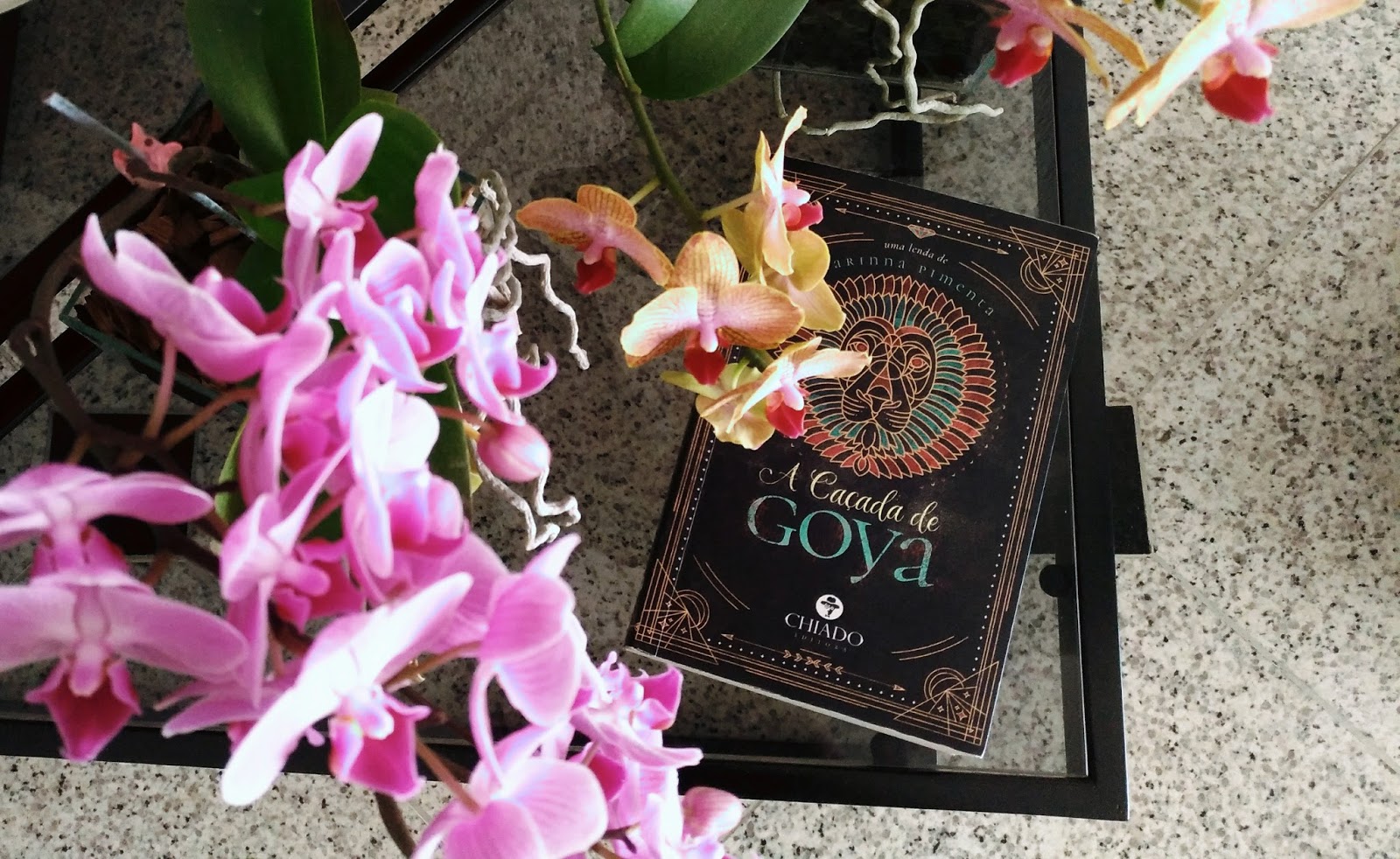 A Caçada de Goya Karinna Pimenta