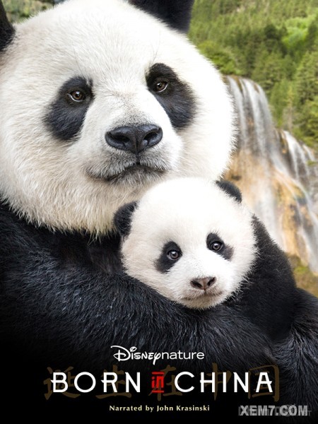 Sinh Ra Ở Trung Hoa