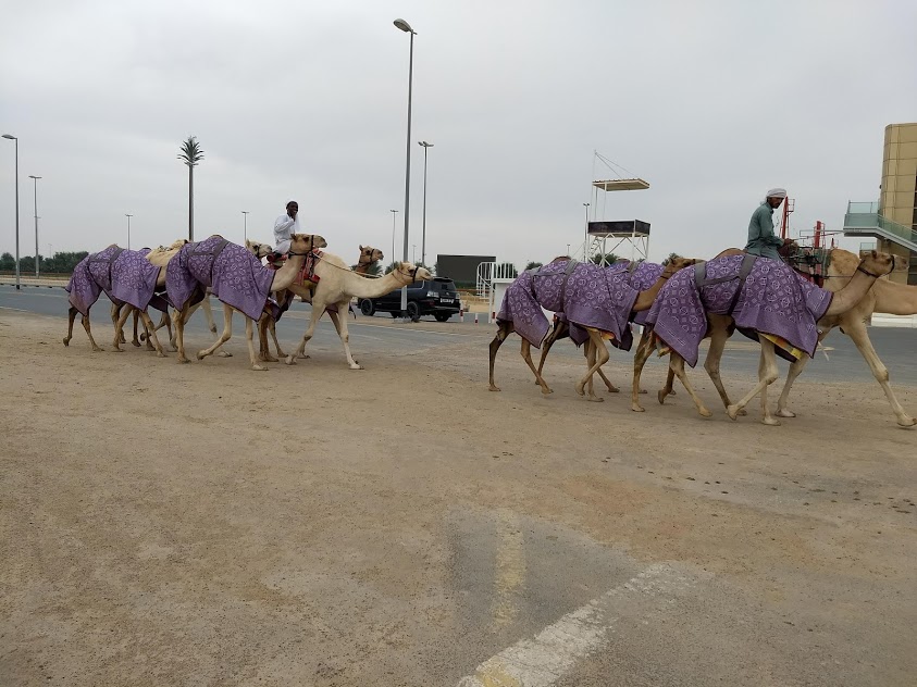 QuiltinGal Barbara H. Cline Quilting Classes in Kuwait and Dubai