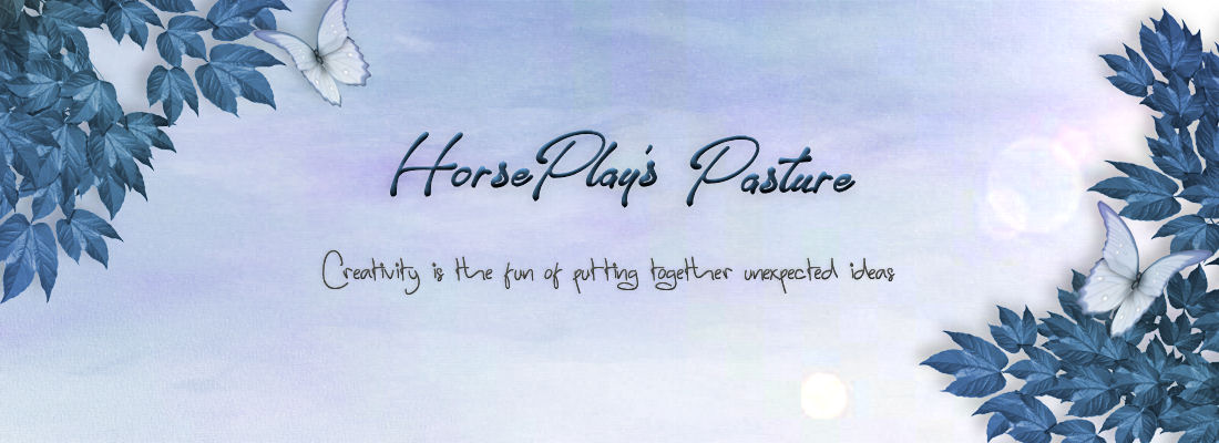 HorsePlaysPasture