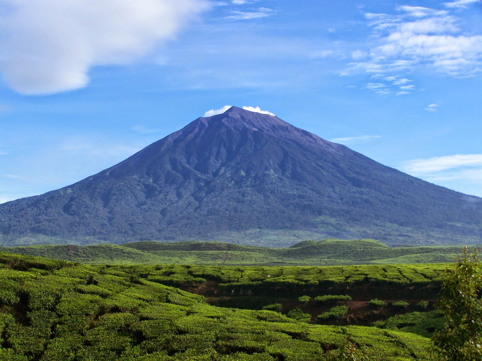 Pendakian Gunung Kerinci 3805 Mdpl HANYA ADA SATU KATA LAWAN pendakian-gunung-kerinci-3805-mdpl-hanya-ada-satu-kata-lawan