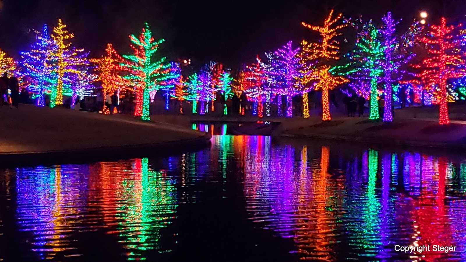 The Wheel Vitruvian Lights 2019