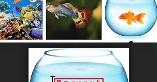 Pembahasan Materi Tekanan Hidrostatis, Hukum Archimedes dan Hukum Pascal