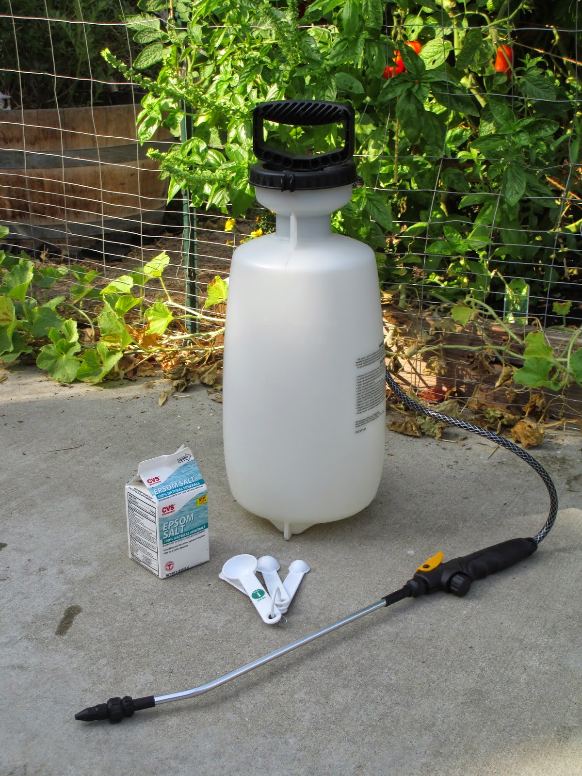 Andie's Way Epsom Salts to the Rescue Treating Chlorosis in my