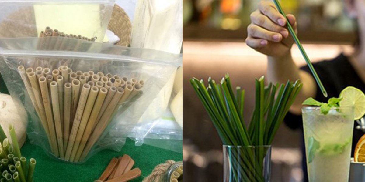 Vietnamese Company Uses Grass To Make Straws To Reduce The Use Of Plastic