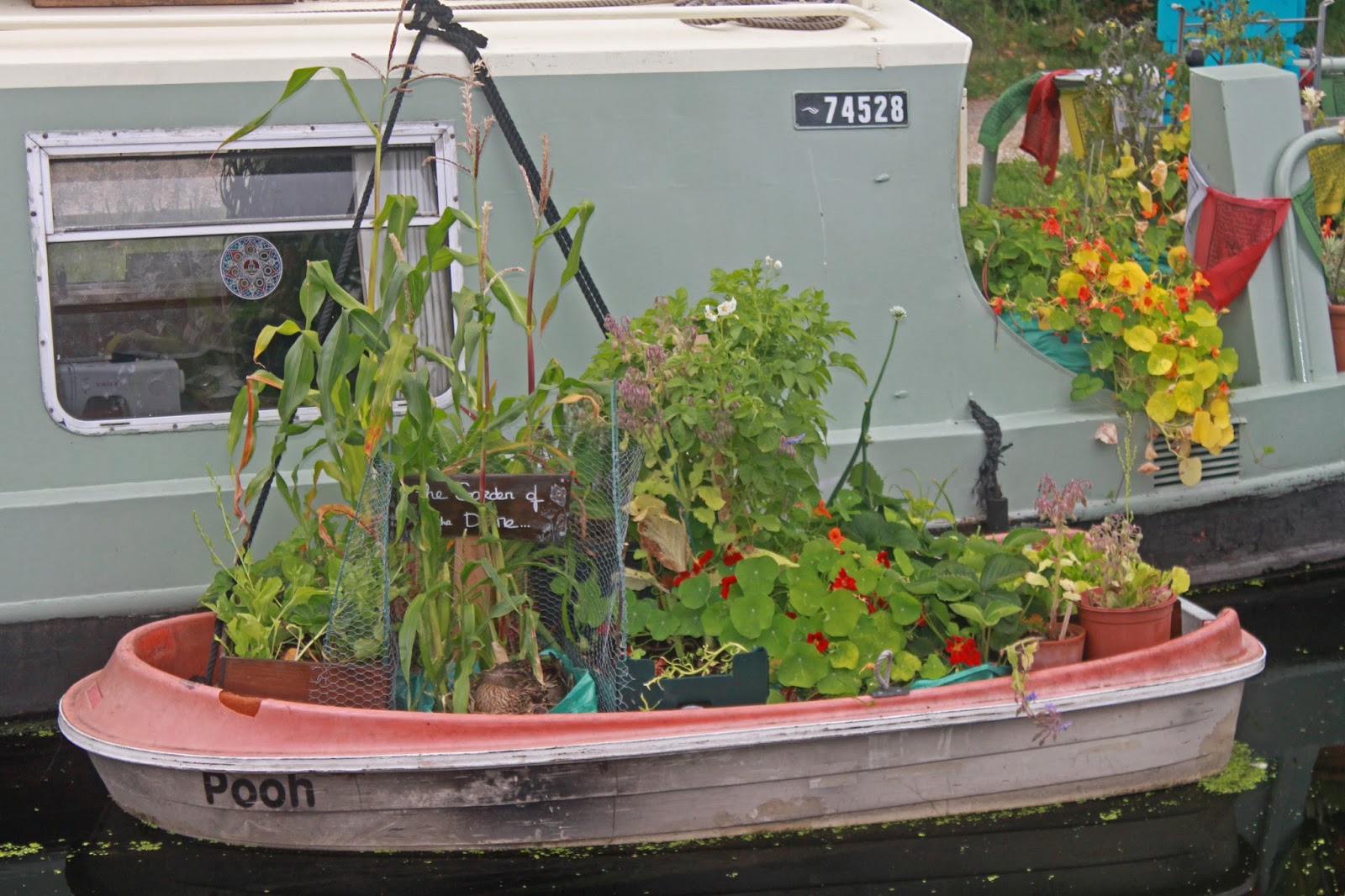 Captain Ahab's Watery Tales Escaping London