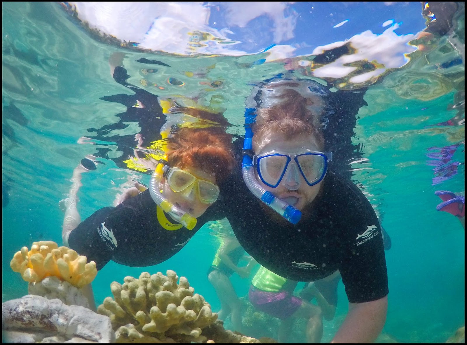 Discovery Cove, Orlando I never expected a once in a lifetime