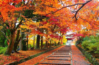  Jepang merupakan salah satu negara di kawasan Asia Timur yang memiliki empat musim Musim Semi, Panas, Gugur dan Dingin di Jepang