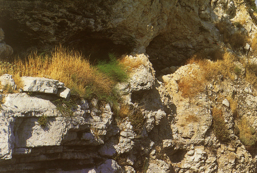 THE BIBLE GOLGOTHA / CALVARY