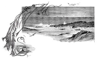 beach ocean image illustration pencil artwork drawing