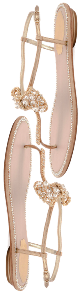 Rene Caovilla Flat Thong Sandal with Golden Bow