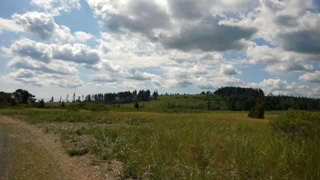 Hilltop on Choate Island