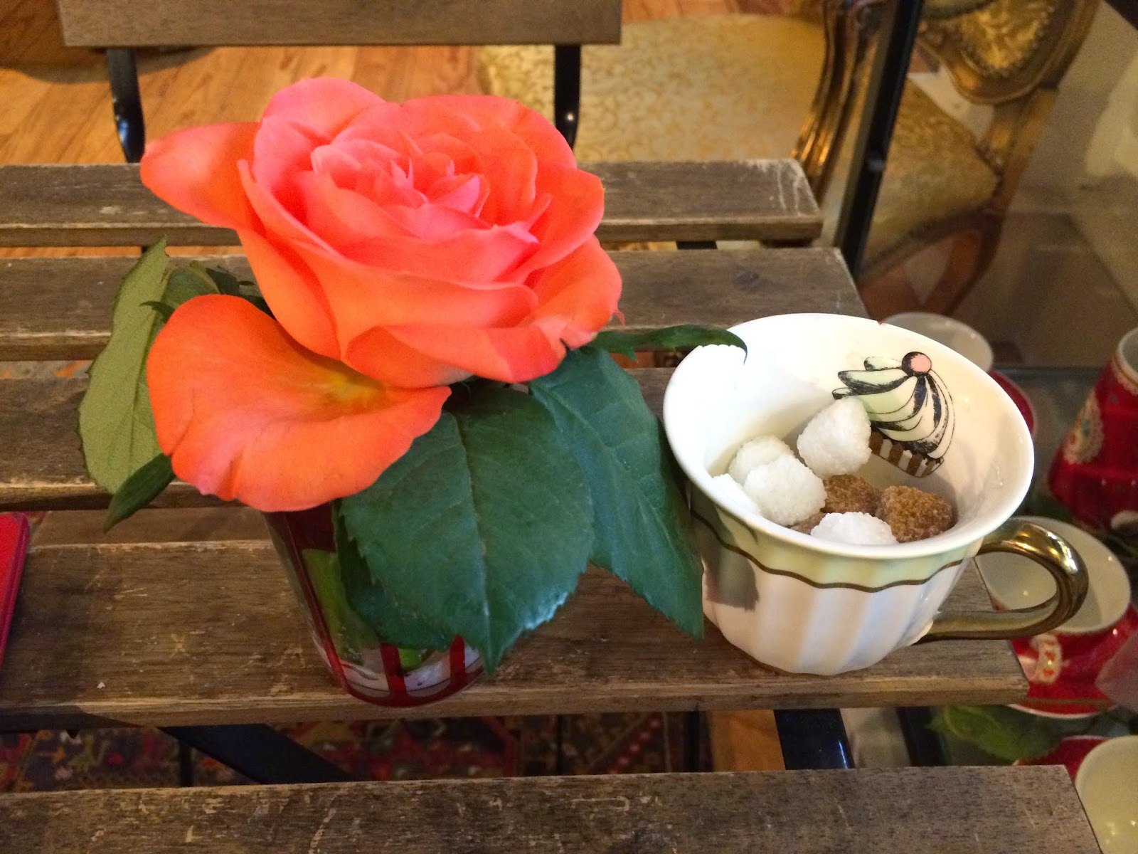 The Garden At Possum Creek A Camellia Quest