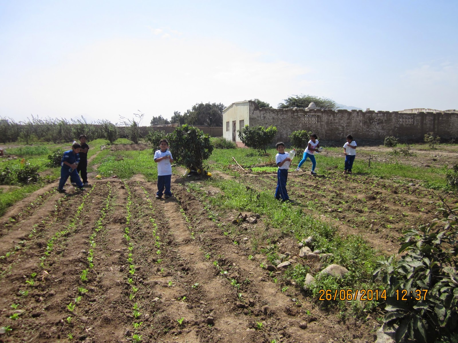 EDUCACIÓN EN LA ZONA RURAL: ¿CÓMO APROVECHAR EL CONTEXTO DE LA ZONA RURAL?