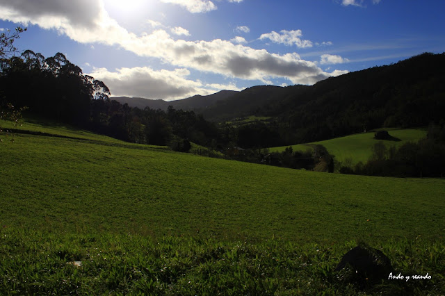 Valles de Asturias Occidental