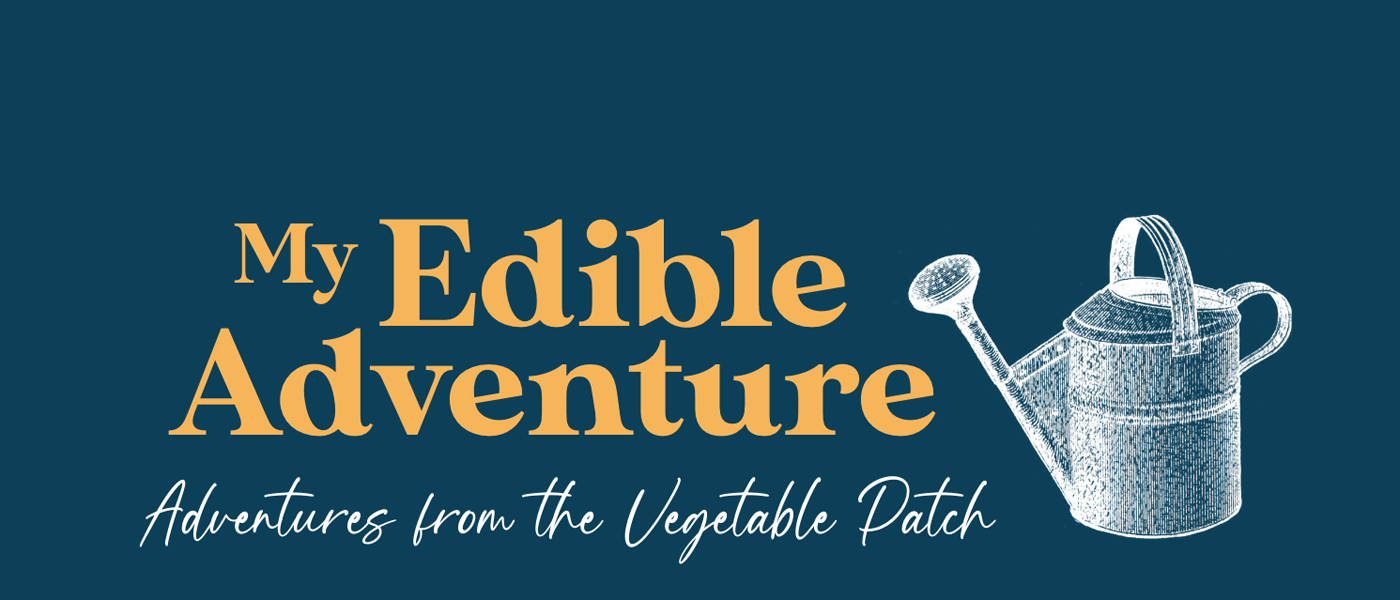 My Edible Adventure