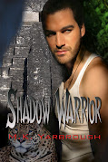 Shadow Warrior