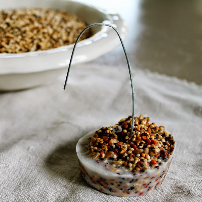 Camellia Rose Making hanging birdseed cakes