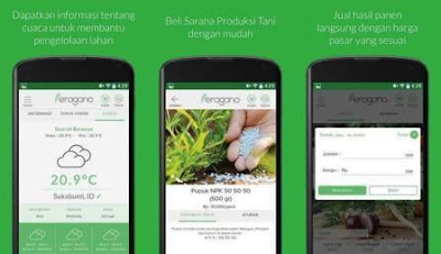 Solusi Aplikasi Eragano untuk Petani Indonesia