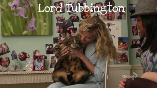The Best Name Ever For A Pet - Lord Tubbington