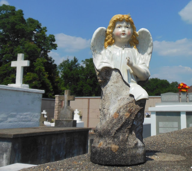 Living Rootless Delcambre, Louisiana A Second Look