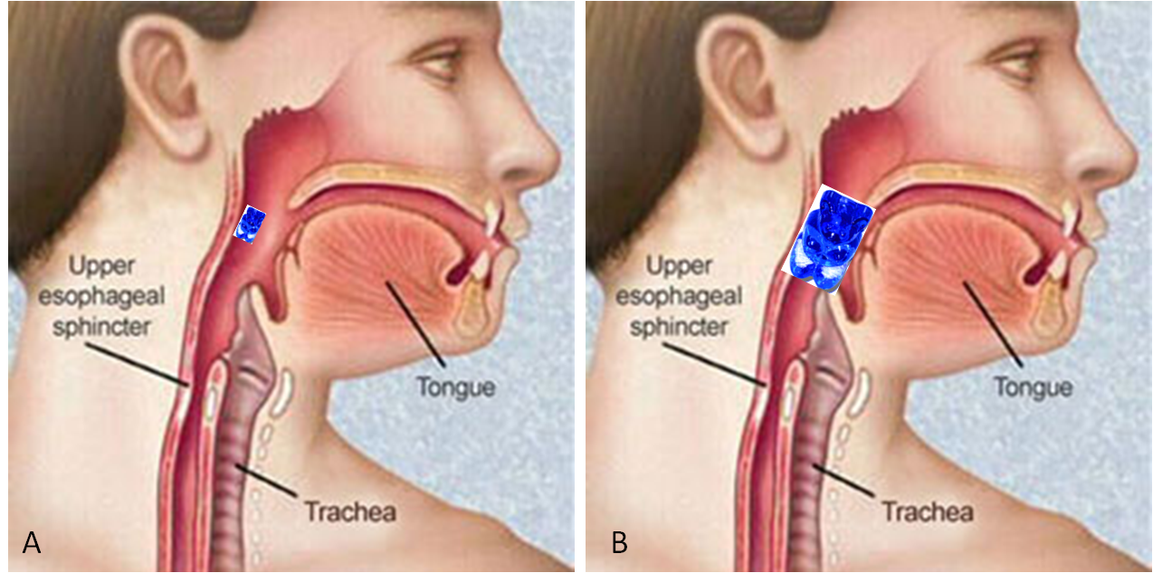 Throat The Glass Porn Sex Photos