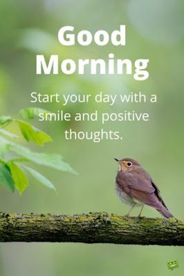 good morning good morning