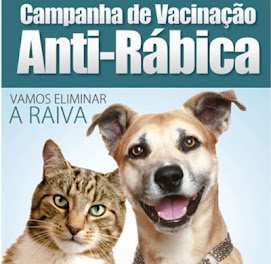 INFORME PUBLICITÁRIO